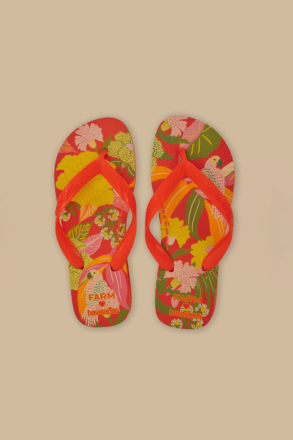 Farm Neon Flor Havaianas Sandals – FARM Rio