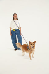Zeedog Farm Samba Hands-Free Leash