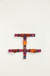 Zeedog Farm Onca H Harness Xs