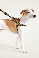 Zeedog Farm Bananas Softer Walk L