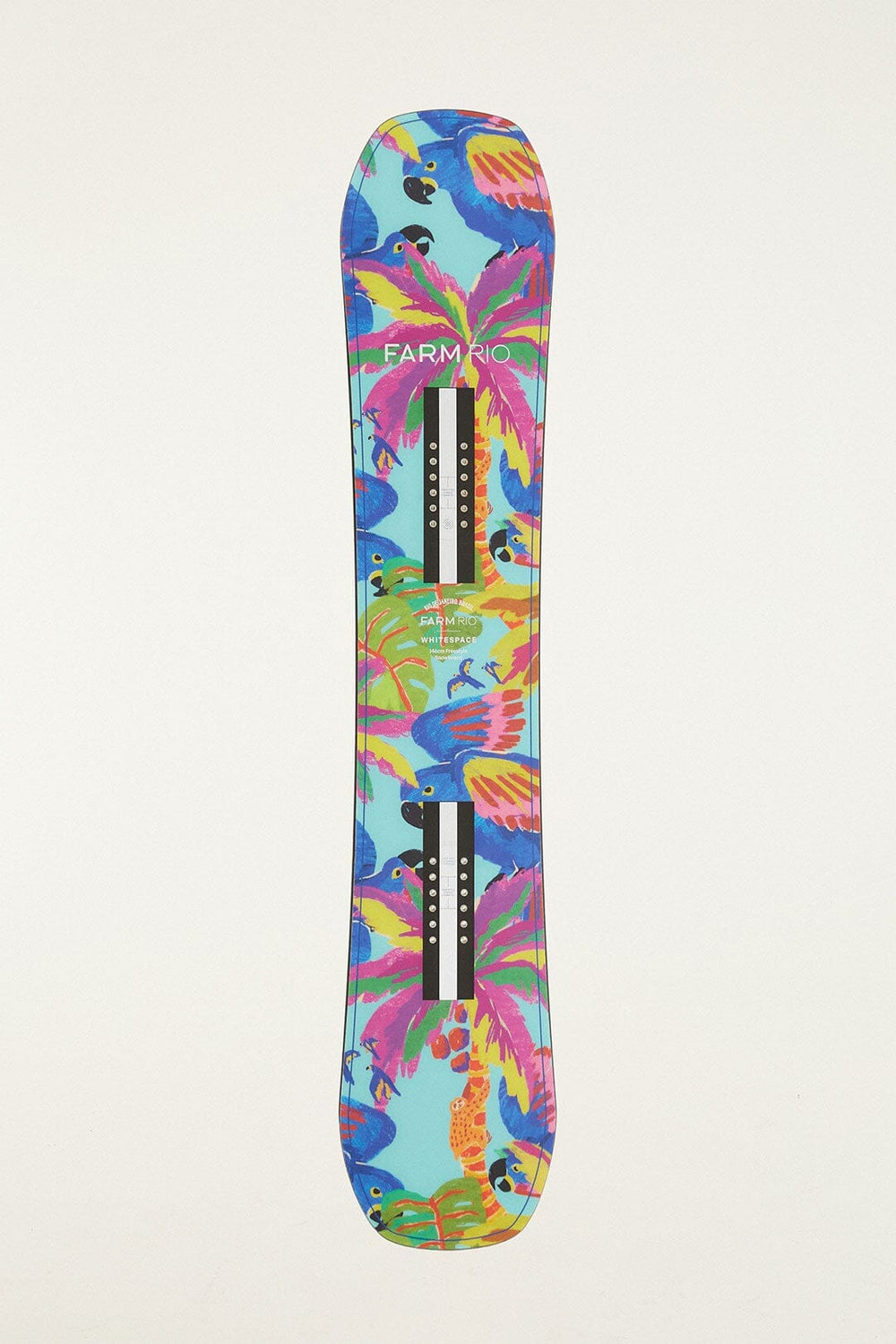 Blue Macaw Snowboard
