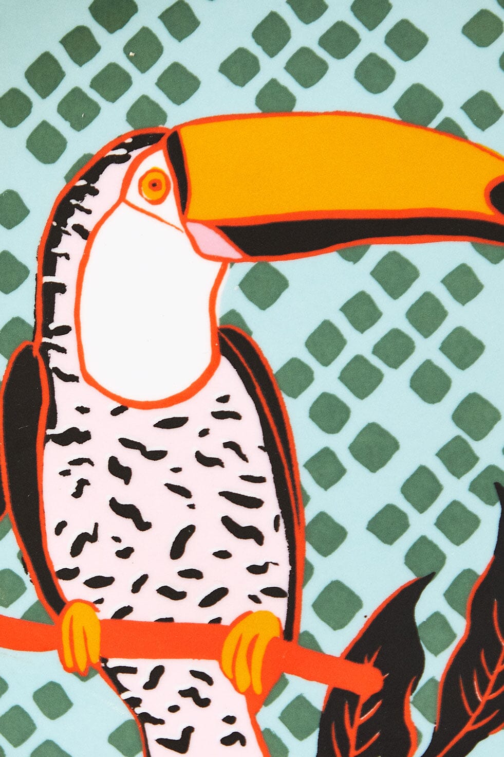 Toucan Plate – FARM Rio