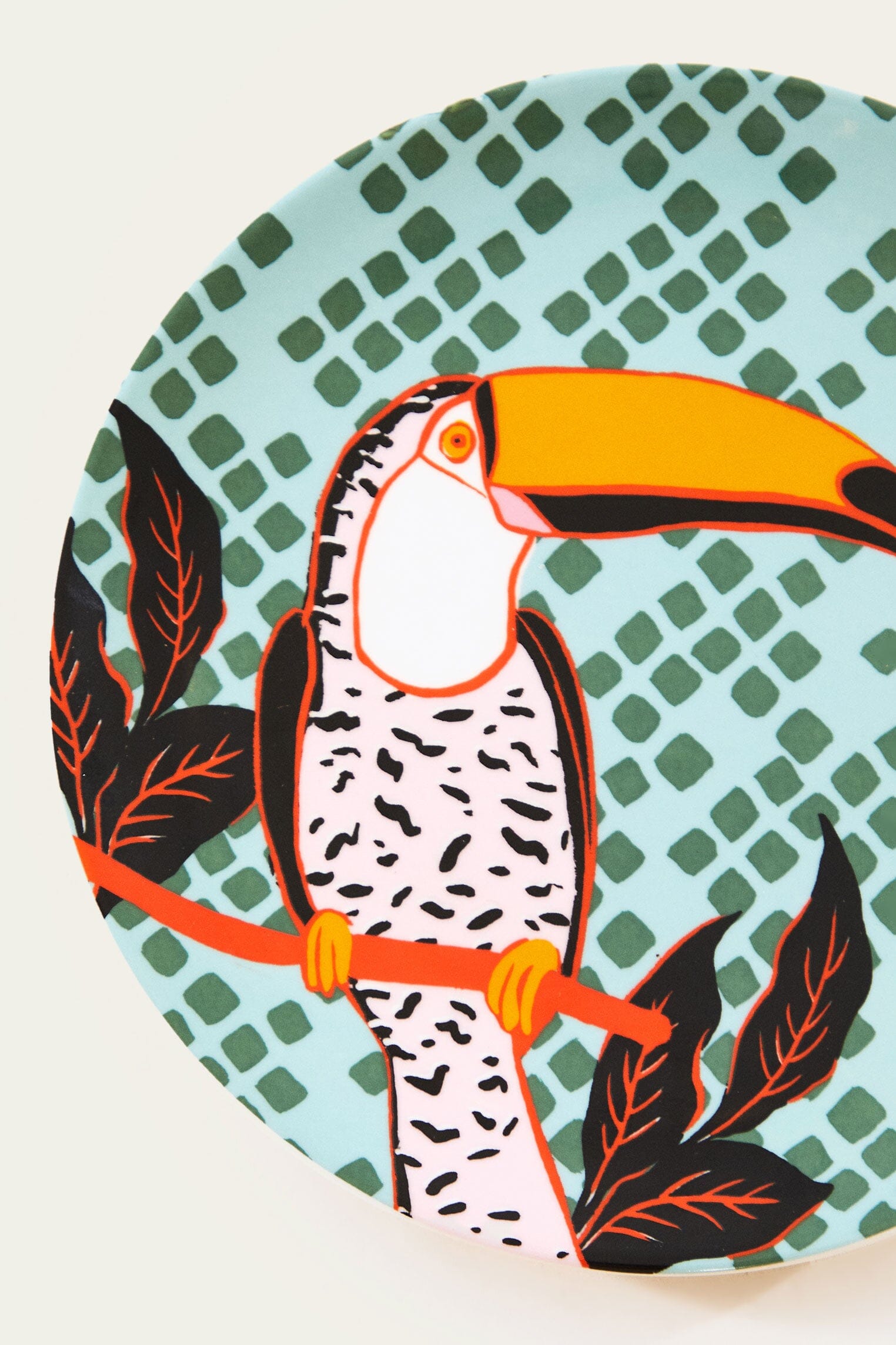 Toucan Plate – FARM Rio