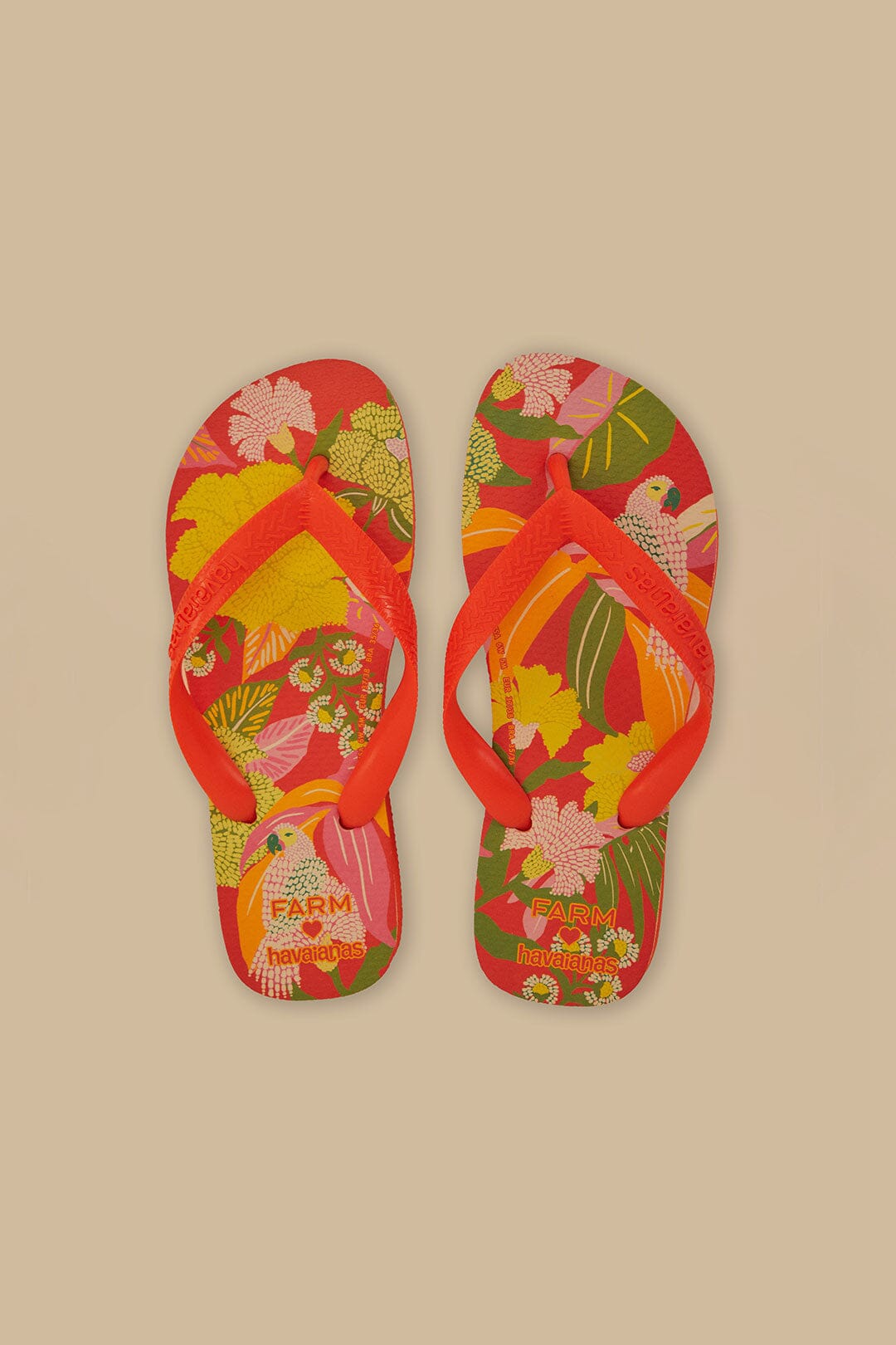Farm Neon Flor Havaianas Sandals – FARM Rio