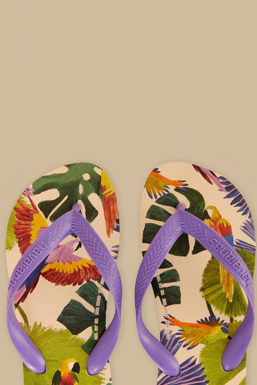 Farm Passaros Pintados Havaianas Sandals – FARM Rio
