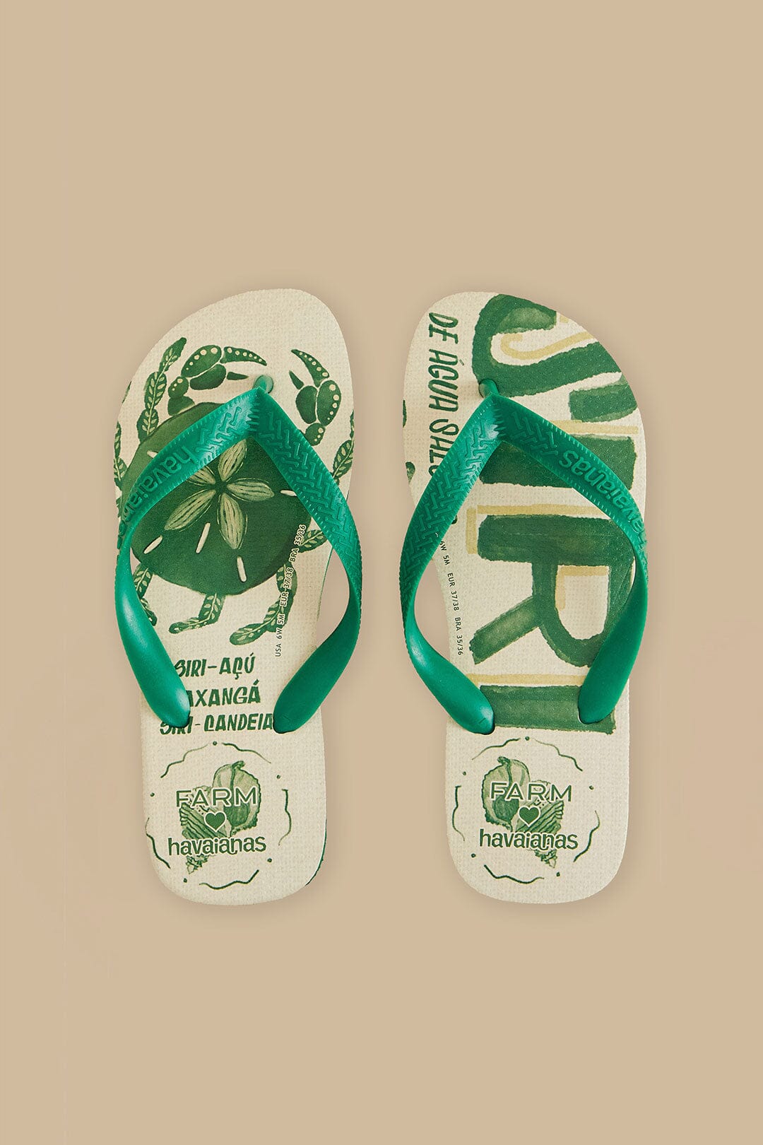 Farm Siri Havaianas Sandals – FARM Rio