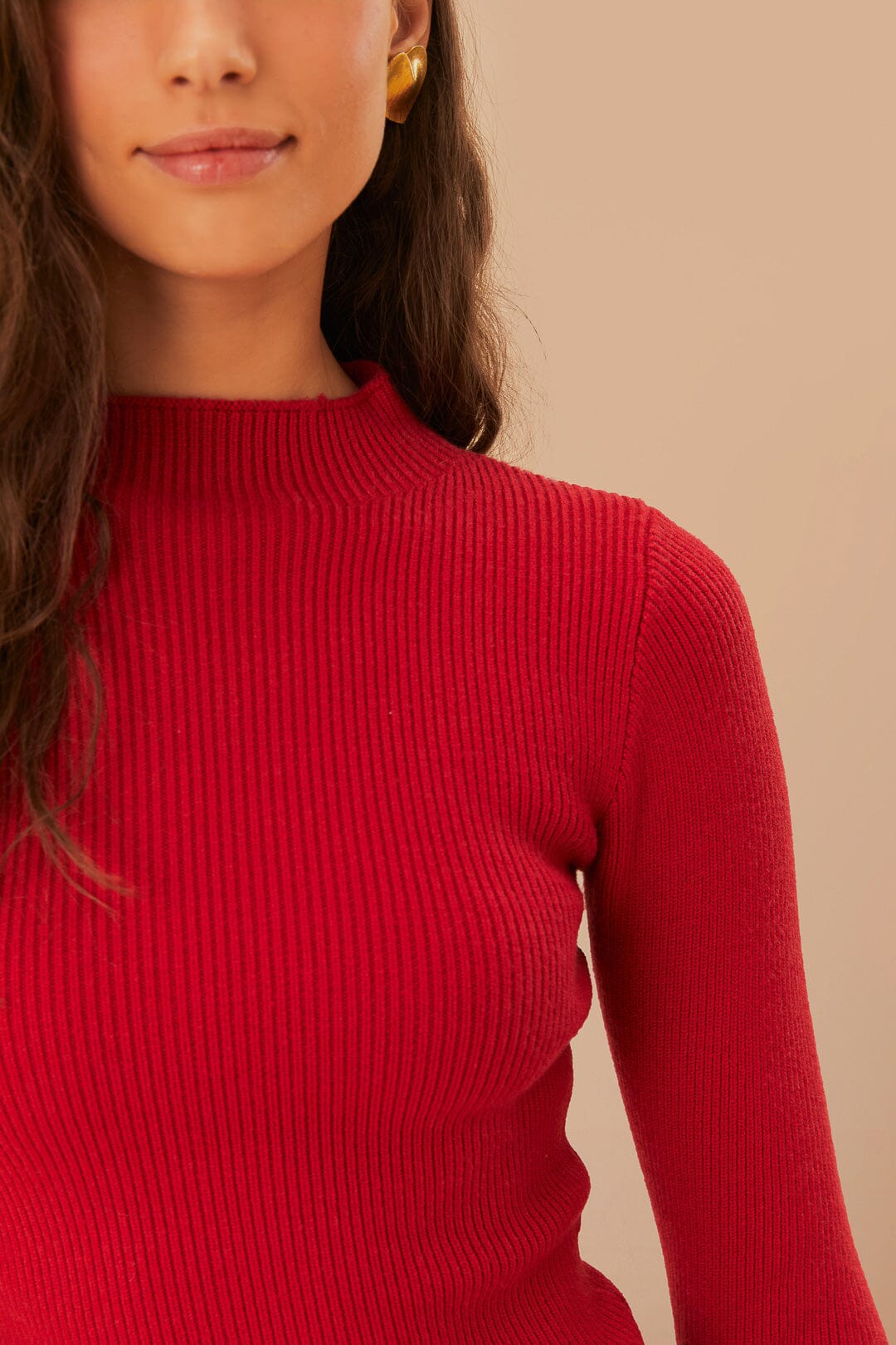 High Neck Burgundy Knit Blouse – FARM Rio