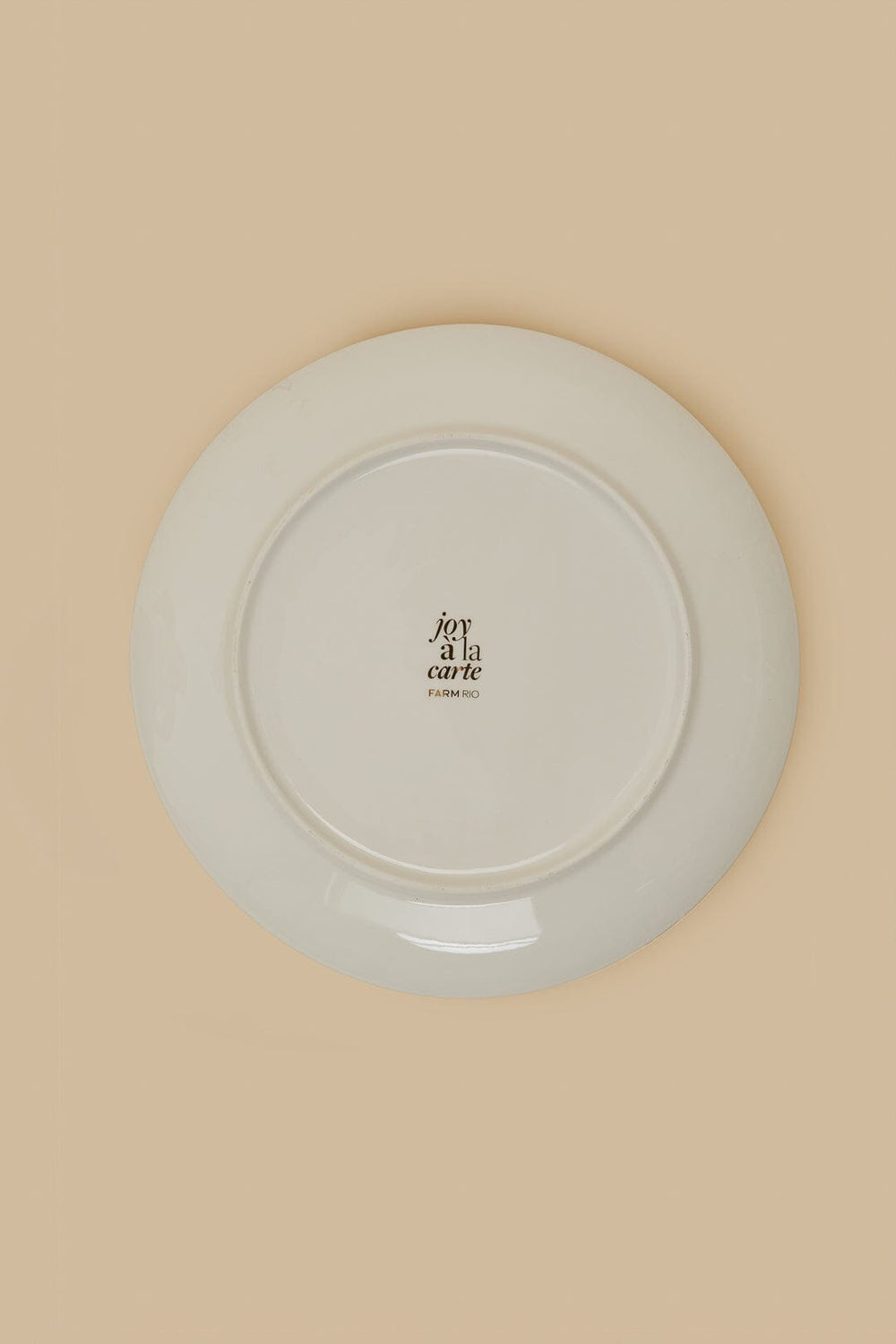 Romantic Dragonfly Dinner Plate – FARM Rio