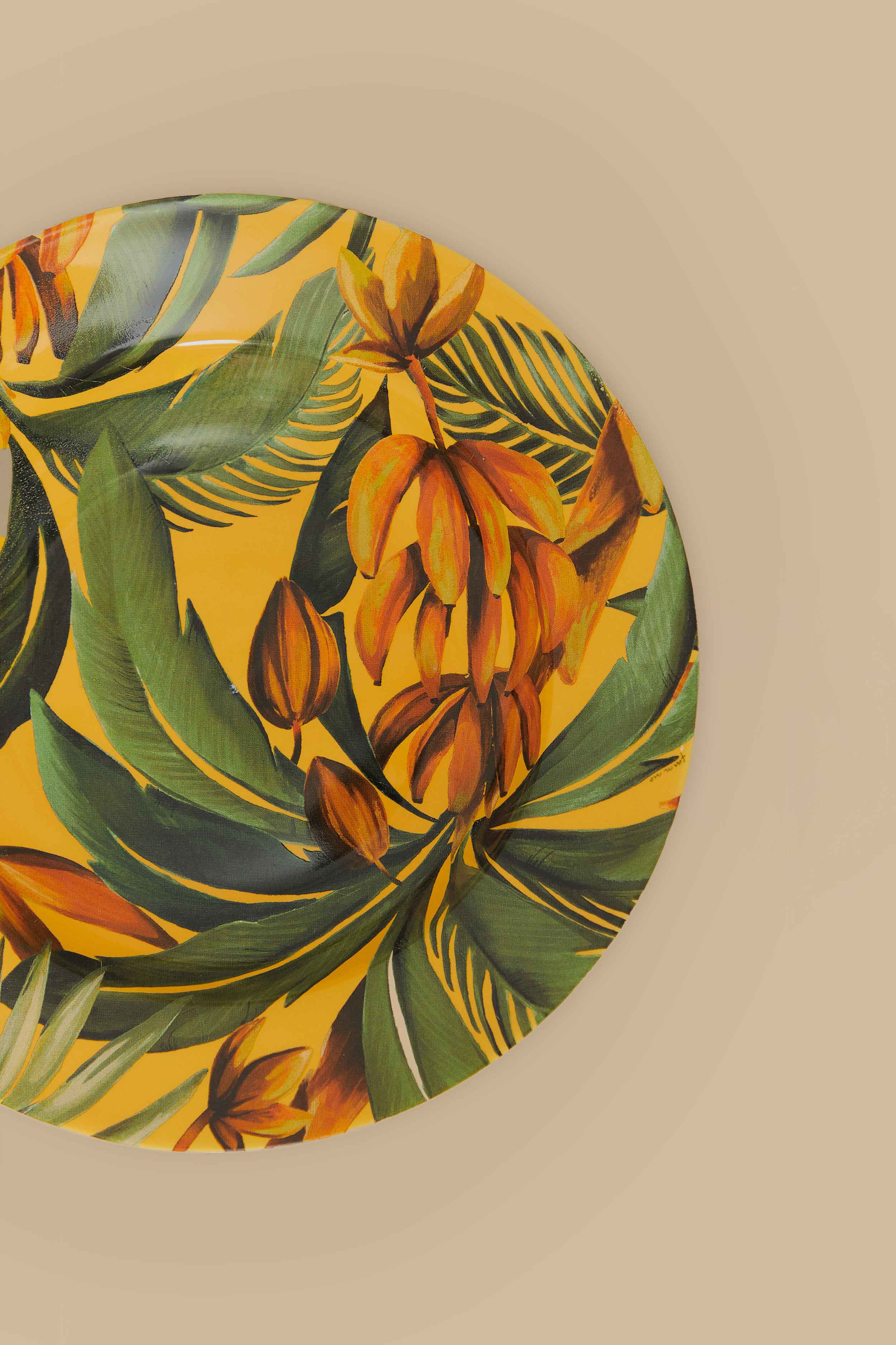 Tropical Joy A La Carte Soup Plate – FARM Rio