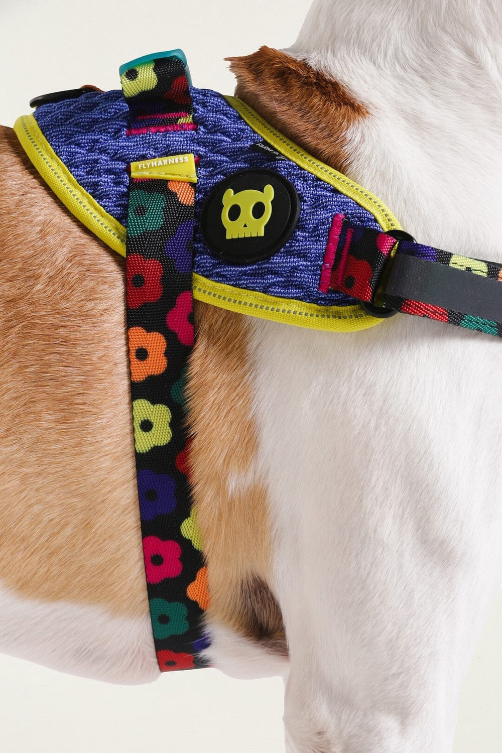 Zeedog Farm Samba Flyharness 2