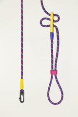 Zeedog Farm Samba Hands-Free Leash