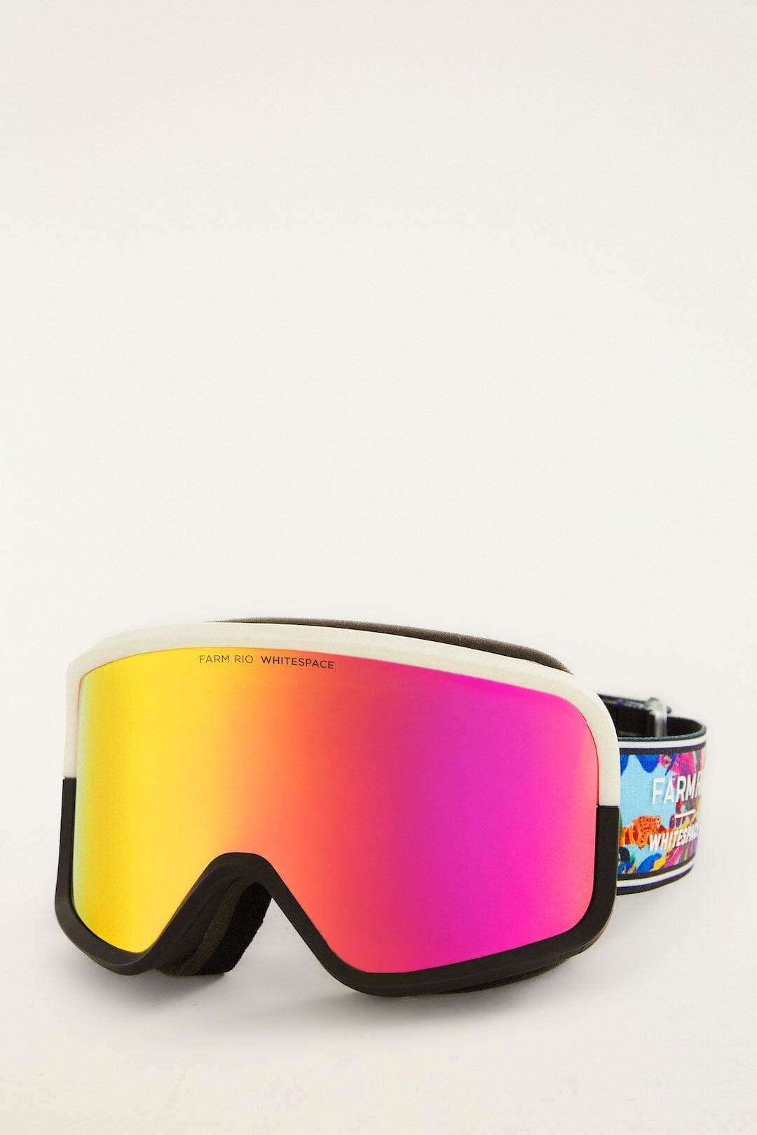 Blue Ski Goggle