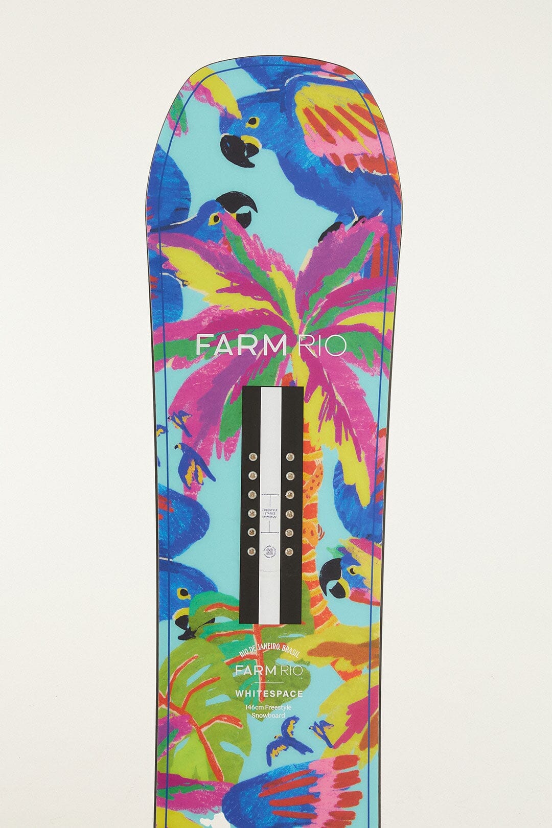 Blue Macaw Snowboard